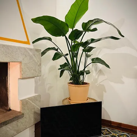 Apartament Wow House In *