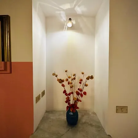 Wow House In Turin